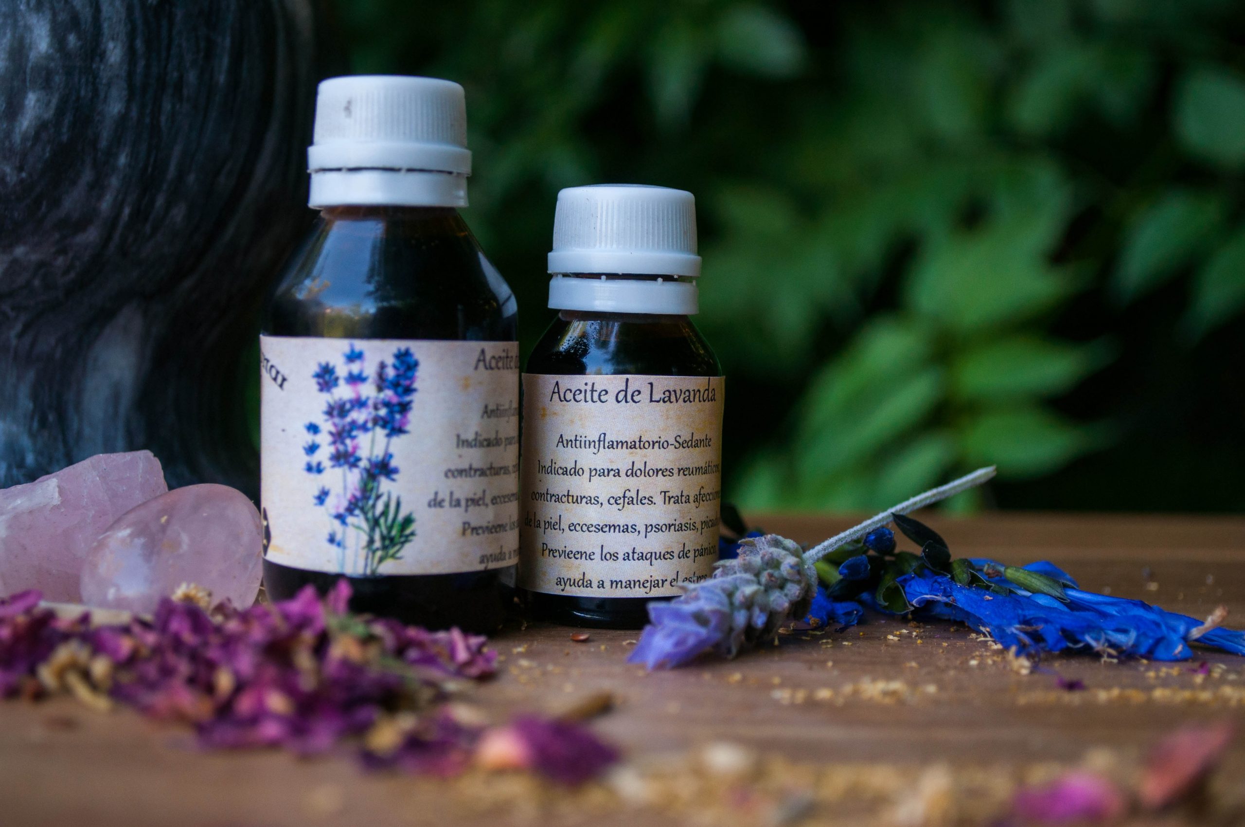 _DSC0100 aceite de lavanda